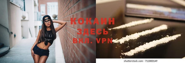 apvp Алексин