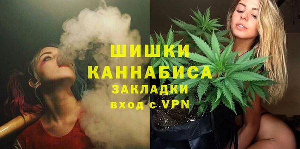 МДПВ Михайлов