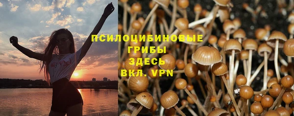 марки nbome Алзамай